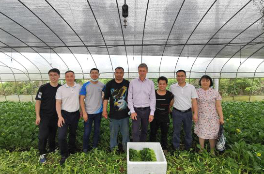 1622690009507451.jpg 1622690009507451.jpg